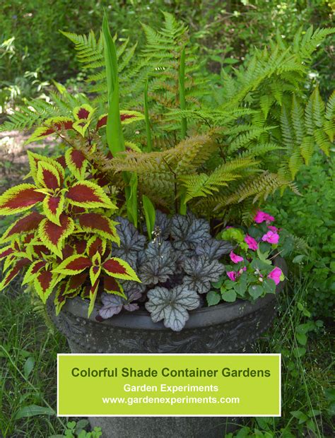 Container Garden Ideas For Shade at Carol Freda blog
