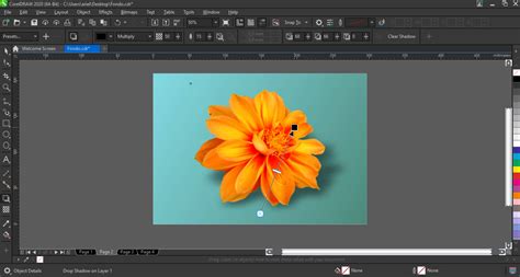Removing the background from images with CorelDRAW and PHOTO-PAINT ...
