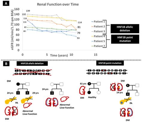 The Phenotypic Variability Associated with Hepatocyte Nuclear Factor 1B ...