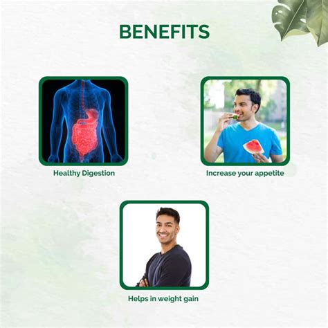 Buy DR. VAIDYA'S WEIGHT GAIN PACK|HERBOFIT (30 CAPS X 1) PACHAK CHURNA ...