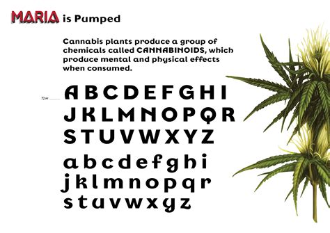 Maria JavaScript 的图像结果