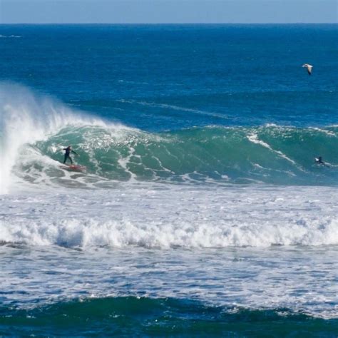 MUNDAKA SURF SHOP (2026) All You Need to Know BEFORE You Go (with ...