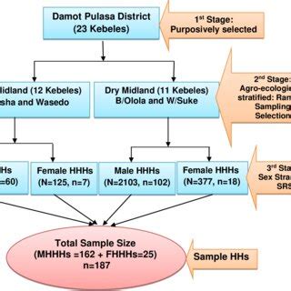 Image result for Sampling Procedure and Sample