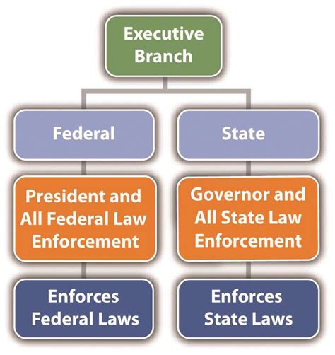Executive Branch 的图像结果