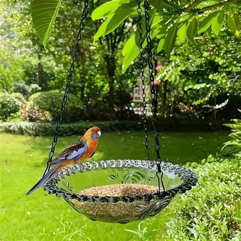 Sltwyw Clear Acrylic Outdoor Hanging Bird Feeder with Seed Tray - 3.5LB ...