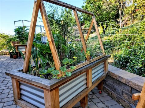 Cucumber Trellis Raised Bed Diy at Evelyn Bromley blog