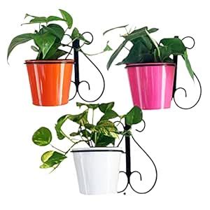 Ascent homes Metal Planter Stand With Round Bucket, Multicolour, 5.5 ...