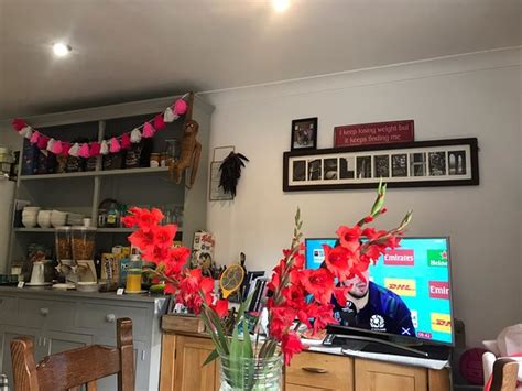 CLEMATIS HOUSE (Cheltenham) - Lodge Reviews, Photos, Rate Comparison ...