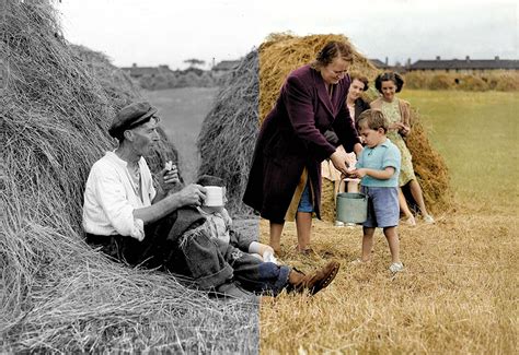 Old Ireland in Colour
