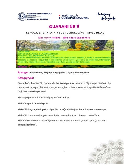 Image result for Guarani Tutorial