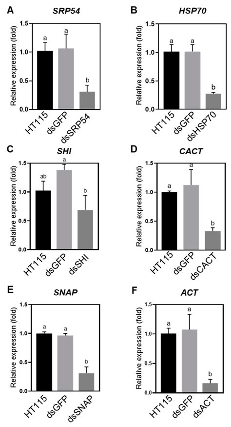 Bacteria-Mediated RNA Interference for Management of Plagiodera ...