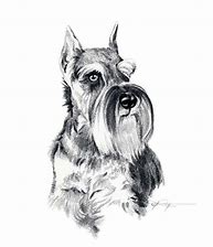 draw pencil sketch