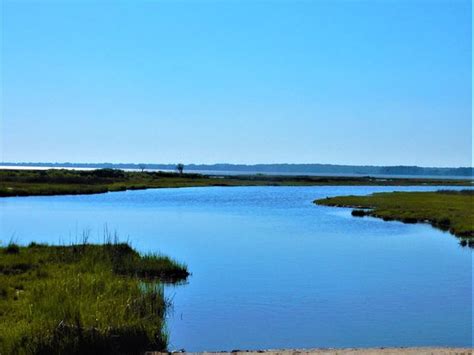 Assateague Island Tourism (2024): All You Need to Know Before You Go