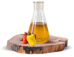 Cardanol,Card Phenol,Cardanol Resin Manufacturers,Exporters in India
