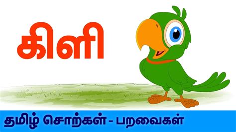 Birds Spelling In Tamil 'கிளி' - Kids Learning Video In Tamil ...