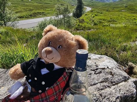 HAGGIS ADVENTURES (2026) All You Need to Know BEFORE You Go (with ...