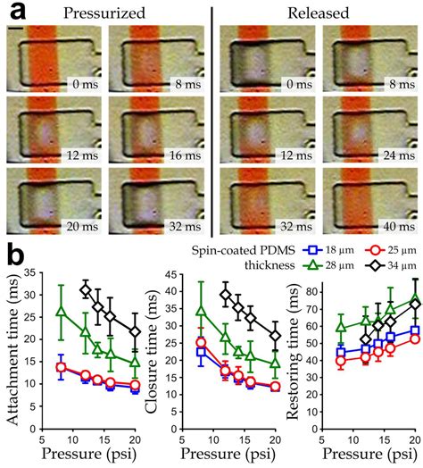 Dynamics of Microvalve Operations in Integrated Microfluidics