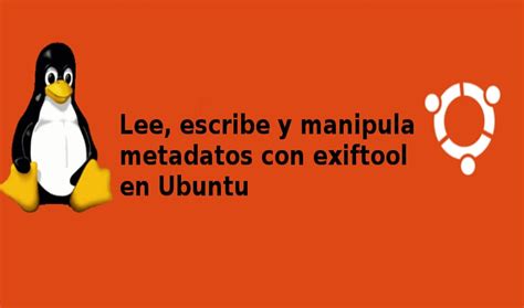 Image result for Get File Metadata