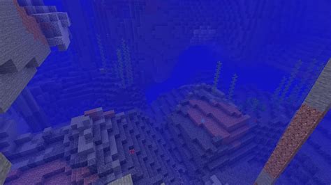 Image result for INF Dimonds Seeds Java