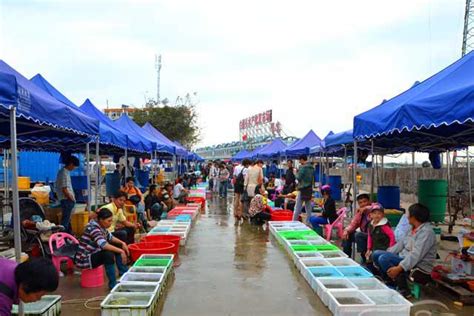 逛遍武汉最大海鲜市场，我们get到一份超靠谱的海鲜指南！