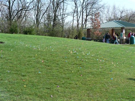 Print Photos | View Full-Size Image