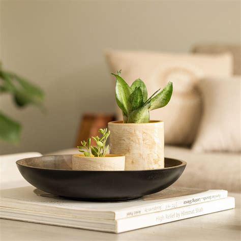 Buy Orbis Round Shallow Bowl Large Online - Ellementry – ellementry