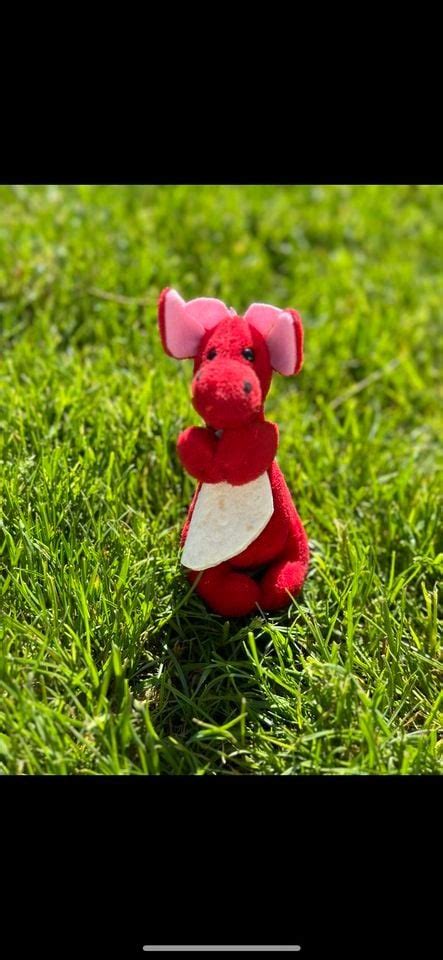 Dragons at the Fortress , Friendship Fortress, Amherst, 27 February ...