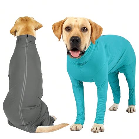 Traje de recuperación quirúrgica para perros después de una cirugía ...