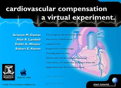 Programme Multimedia 的图像结果