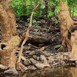 Best Top Rated Water park in Balaghat, Madhya Pradesh, India | Yappe.in