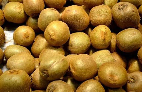 Nava Durga Fruit Company