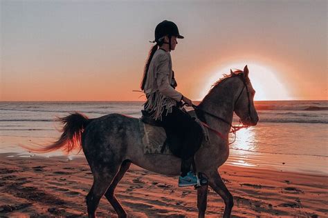 AGADIR ACTIVITIES (Updated 2026) All You Need to Know BEFORE You Go ...