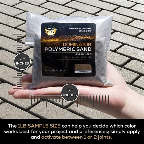 Buy DOMINATOR Polymeric Sand with Revolutionary Ceramic Flex Technology ...