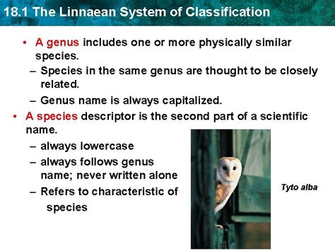 Image result for Linnaean Classification System