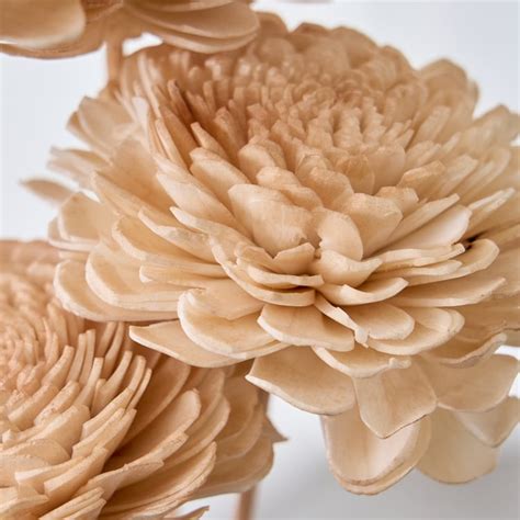 Buy Festoon Natura Set of 5 Dried Shola Flowers - 53cm from Home Centre ...