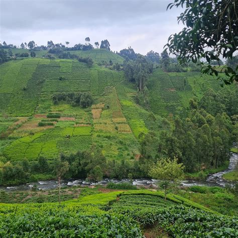 RANGES VIEW LODGE (Muranga) - Lodge Reviews, Photos, Rate Comparison ...