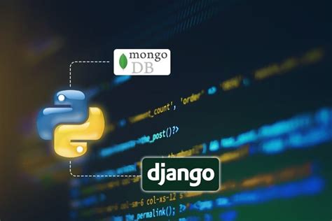 Learn Professional IT Courses | Startek It Solutions - Jamnagar