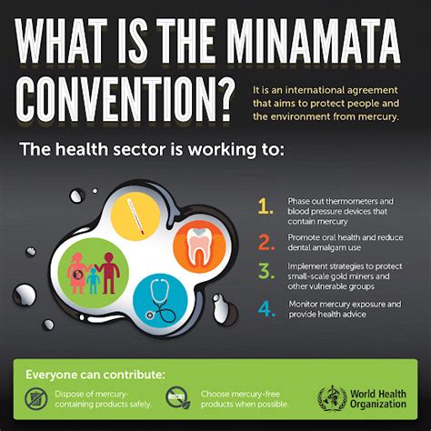 Minamata Disease - Environment Notes