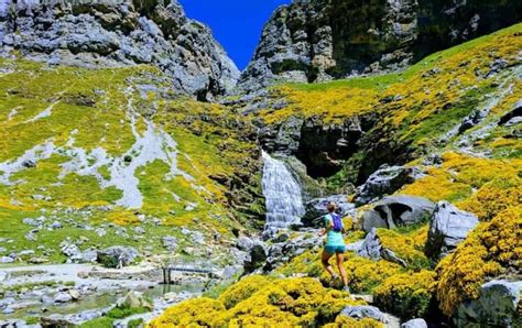 Running Tips for Beginners 的图像结果