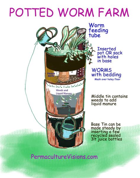 Worm Farm Close Up 的图像结果