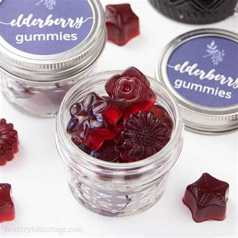 Elderberry Gummies Recipe {Healthy Fruit Snack for Kids & Toddlers}