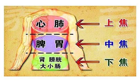 人体五脏六腑的排毒时间表_360新知