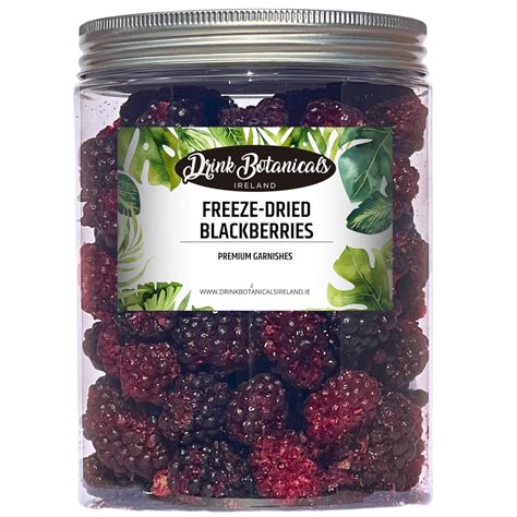 Amazon.com: Drink Botanicals Ireland | Freeze Dried Blackberries | 70 ...