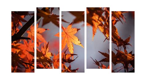 PAPER PLANE DESIGN Photo Frames for Wall Decoration Leaves View Picture ...