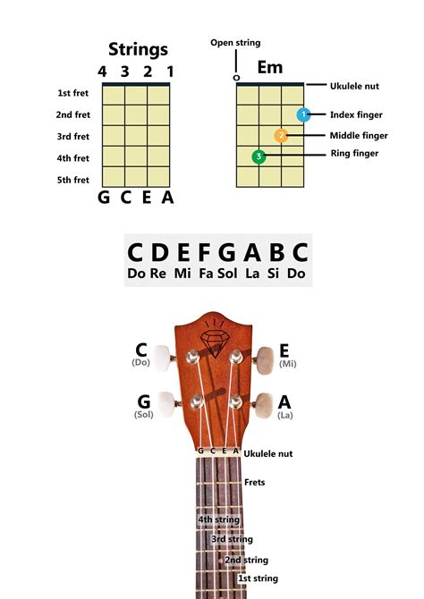 Image result for Basic Chords. For Ukulele