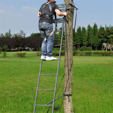 Image result for Portable Ladder Tree Stands