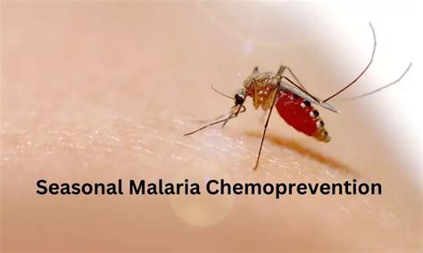 Combining seasonal malaria vaccination with seasonal chemoprevention ...