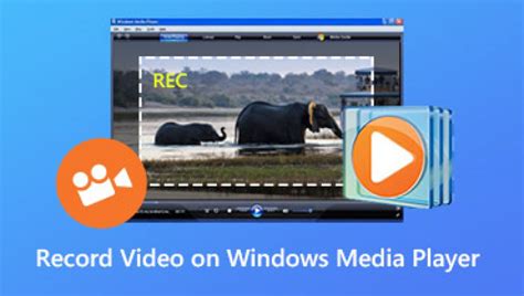 Image result for Digital Copy Windows Media Player