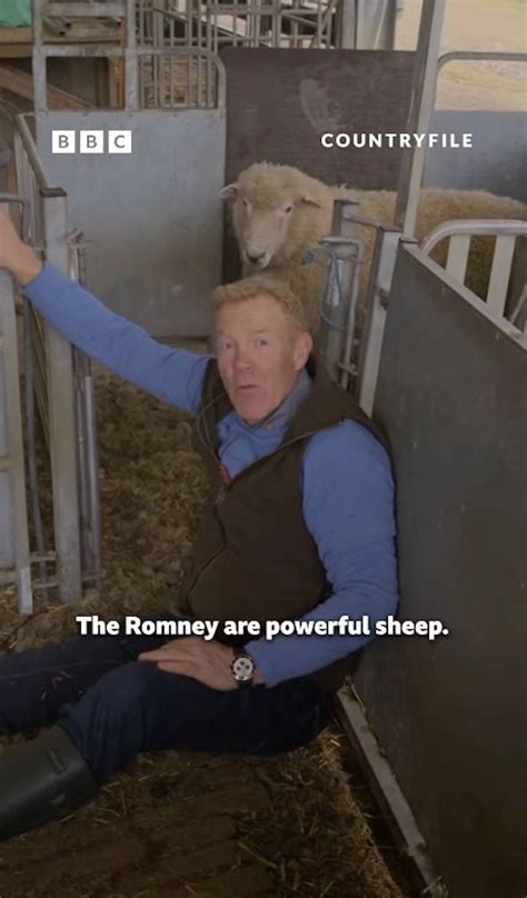 Countryfile star Adam Henson swears as powerful sheep knocks him over ...