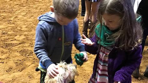 Bailey comforts children at SLE Children’s Hospital Miracle Rodeo